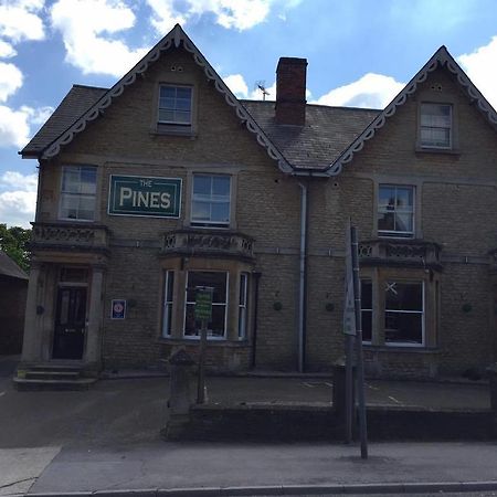 The Pines Guest Accommodation Chippenham  Buitenkant foto